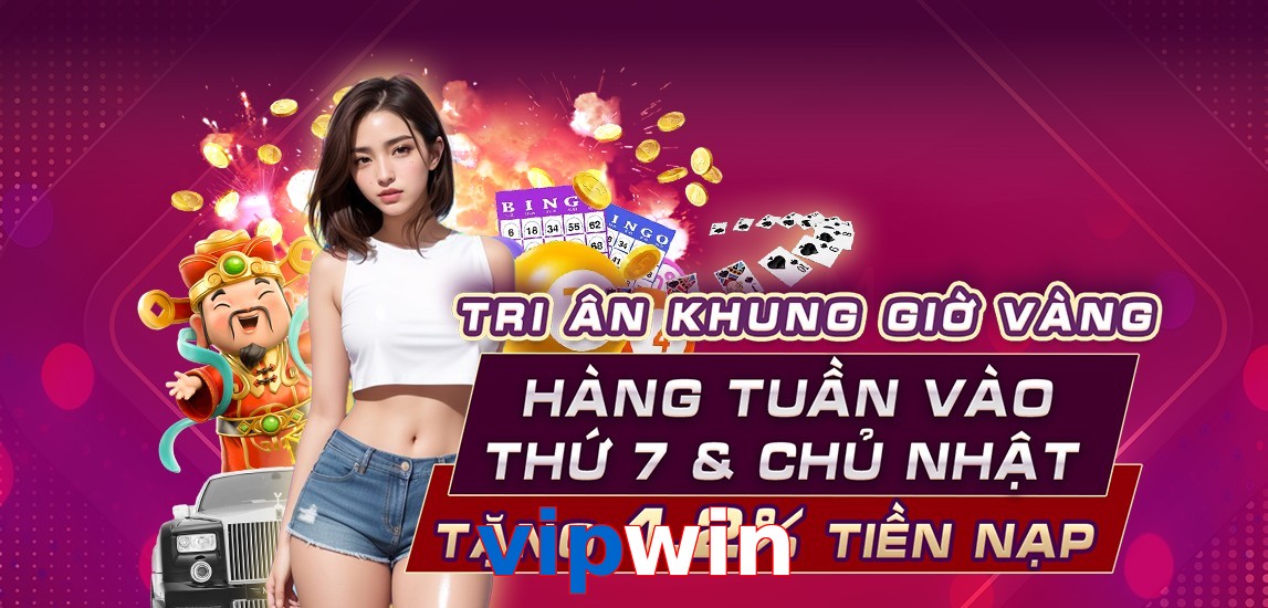vipwin